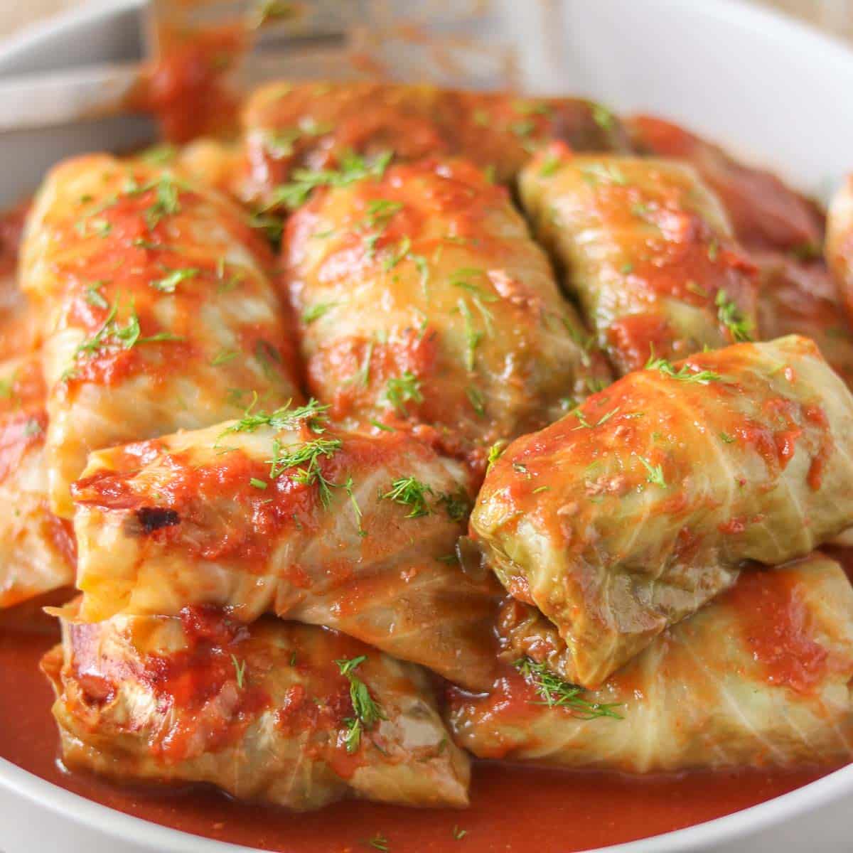 Cabbage Rolls Recipe