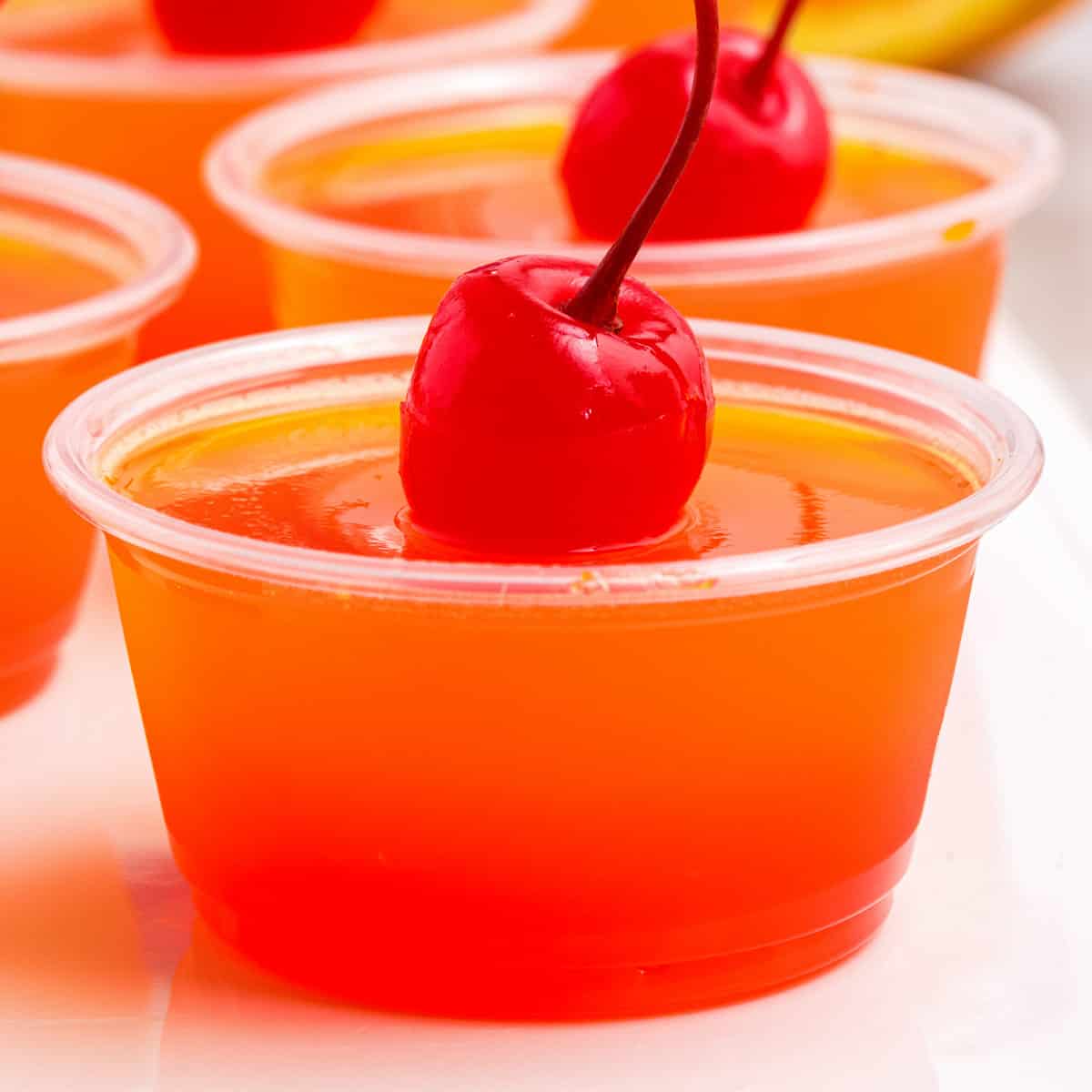 Jello Shot Recipe