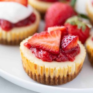 Mini Cheesecake Recipe