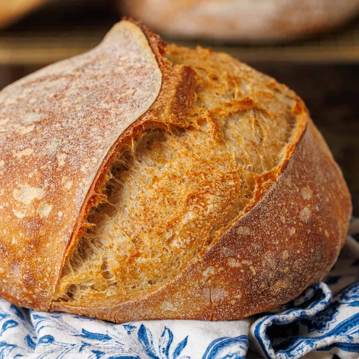 Sourdough Recipe